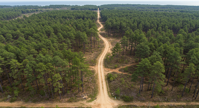 New Jersey Pest Control: Expert Solutions for Ocean & Monmouth Counties Homes