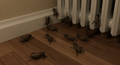 Cricket Control Services in Bayville, NJ | Resolve Pest Management